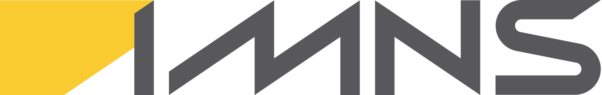 IMNS Logo